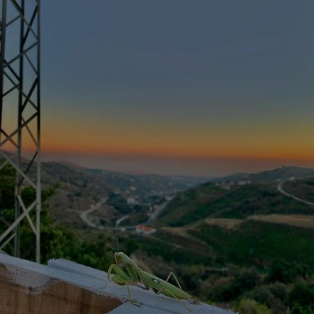 Casa Rural Malaga Monkey Love Con Jacuzzi Iznate Εξωτερικό φωτογραφία