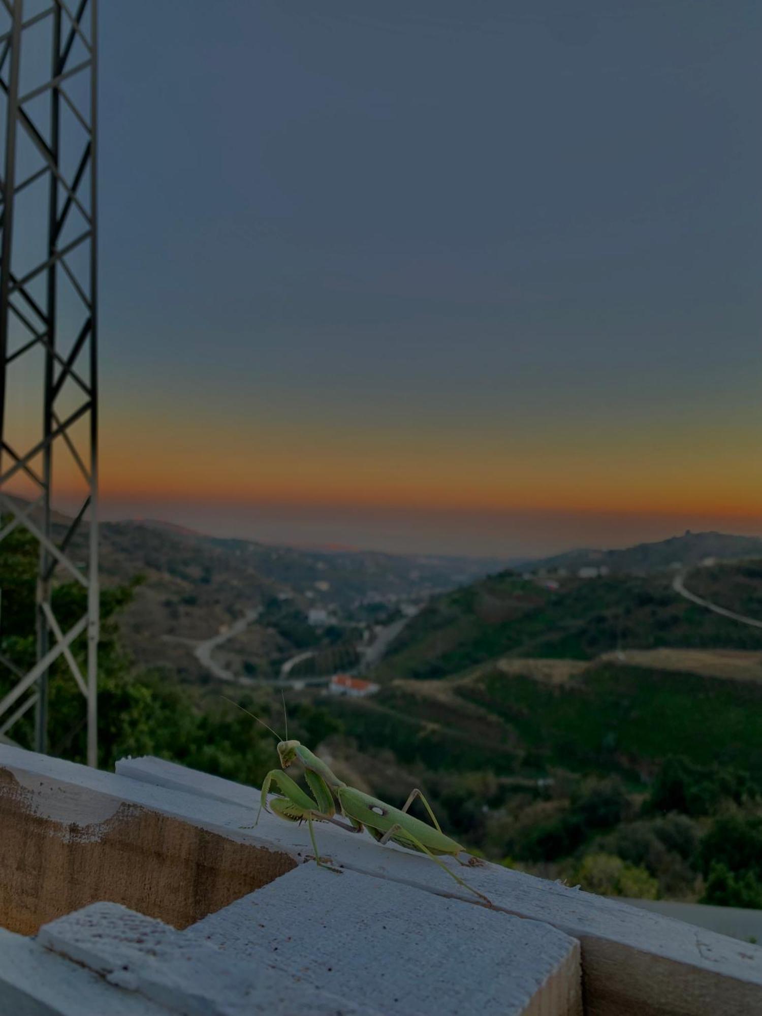 Casa Rural Malaga Monkey Love Con Jacuzzi Iznate Εξωτερικό φωτογραφία
